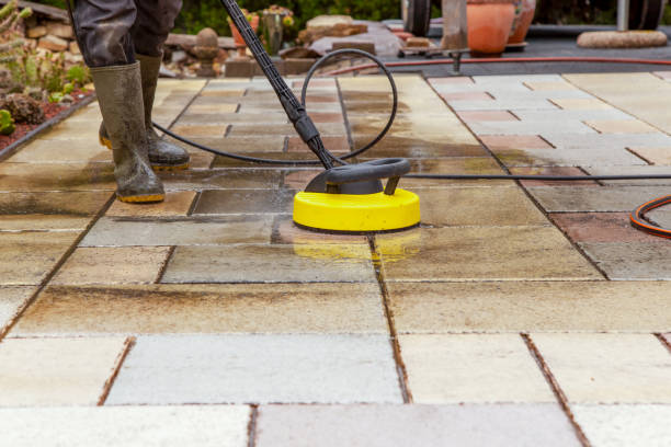 Best Animal Enclosure Cleaning  in , OH